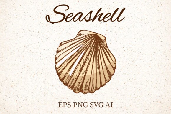 Vintage Scallop Seashell Clipart: A Nautical Graphic for Illustrations